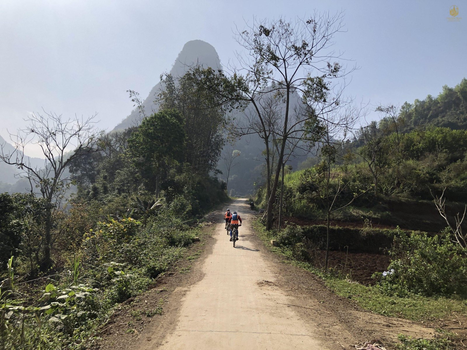 Conquer the High Trails: Your Ultimate Guide to Mountain Biking in Lao Cai, Vietnam